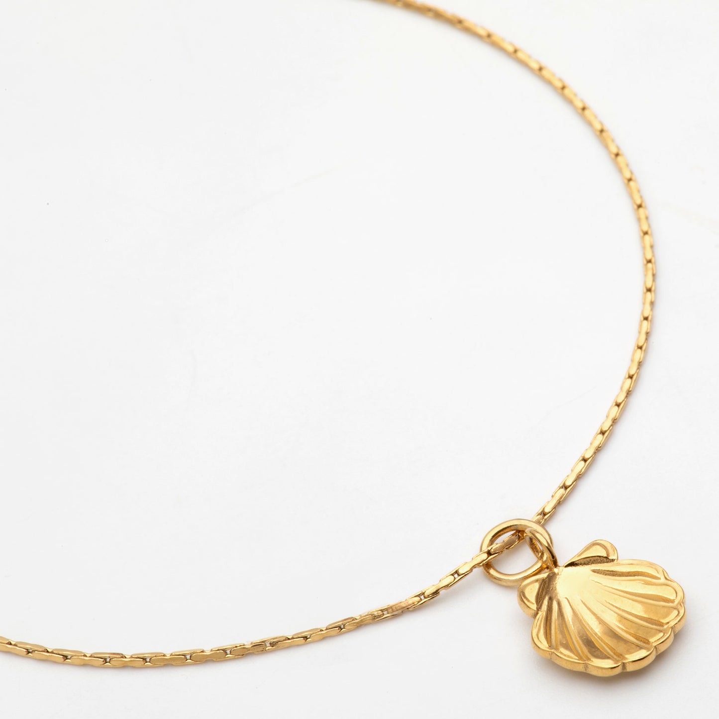 Vera Shell Necklace