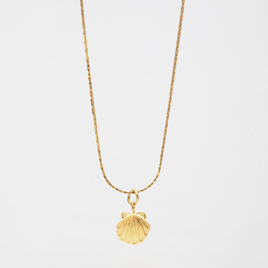 Vera Shell Necklace